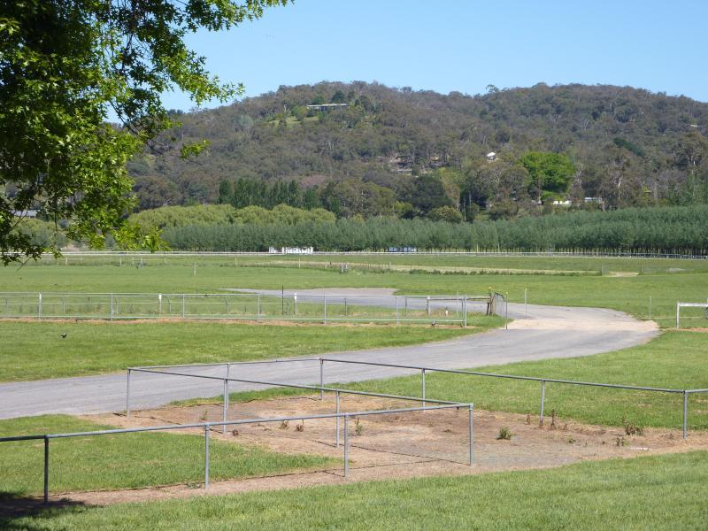 Healesville - Healesville Racecourse, Kinglake Road: Westerly view across racecourse near main entrance