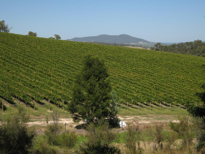 Healesville - Yarra Glen Road: View south towards vineyard from Yarra Glen Rd near Mt Rael entrance