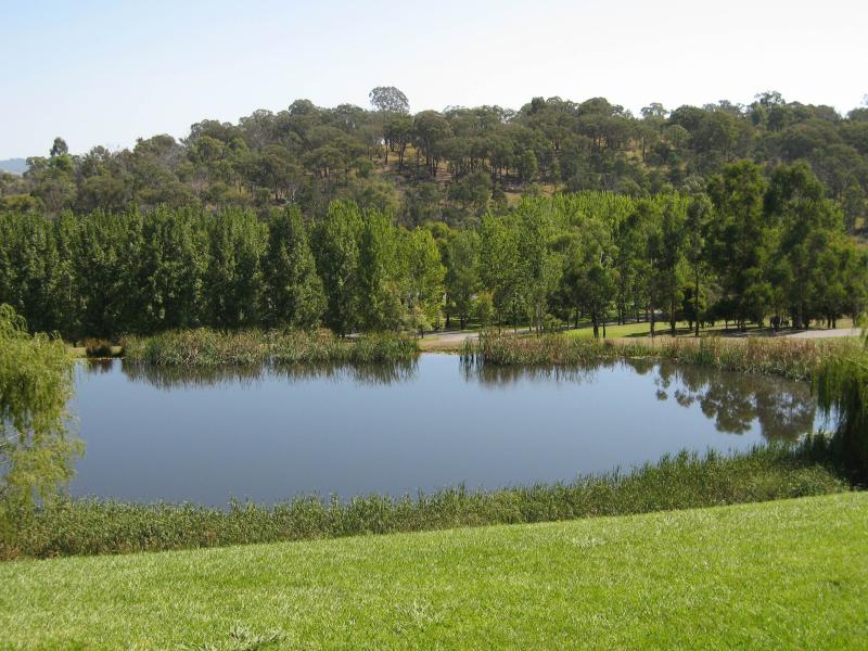 Healesville - TarraWarra Estate winery, Yarra Glen Road: View north across pond