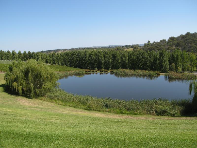 Healesville - TarraWarra Estate winery, Yarra Glen Road: View west across pond