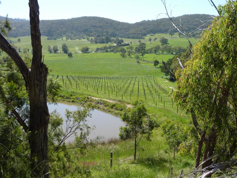 Healesville - Old Healesville Road: North-east view towards vineyard, west of Long Gully Rd