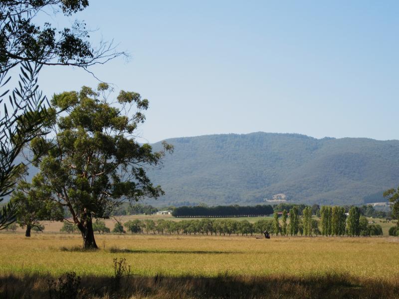 Healesville - Everard Park, Maroondah Highway at Yarra River: View east from park