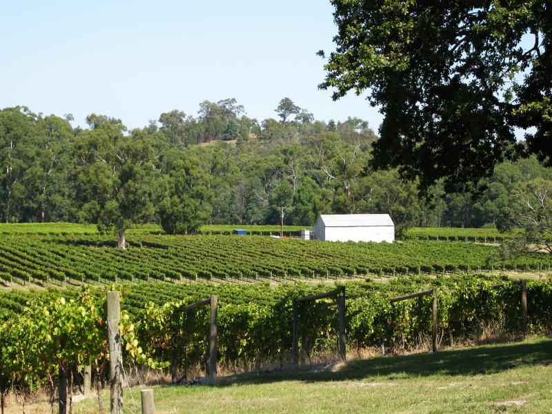 Healesville - Boat O'Craigo winery, Maroondah Highway: Southerly view over vineyard