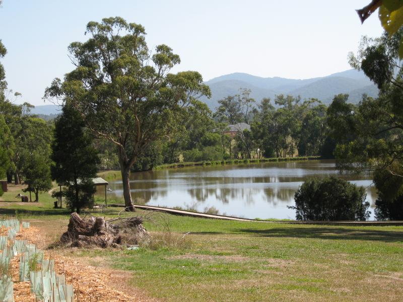 Healesville - Don Road Recreation Reserve: View towards irrigation lake and BBQ area