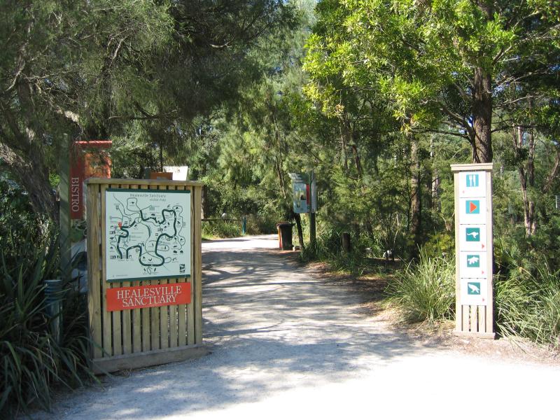 Healesville - Healesville Sanctuary: Pathway through sanctuary