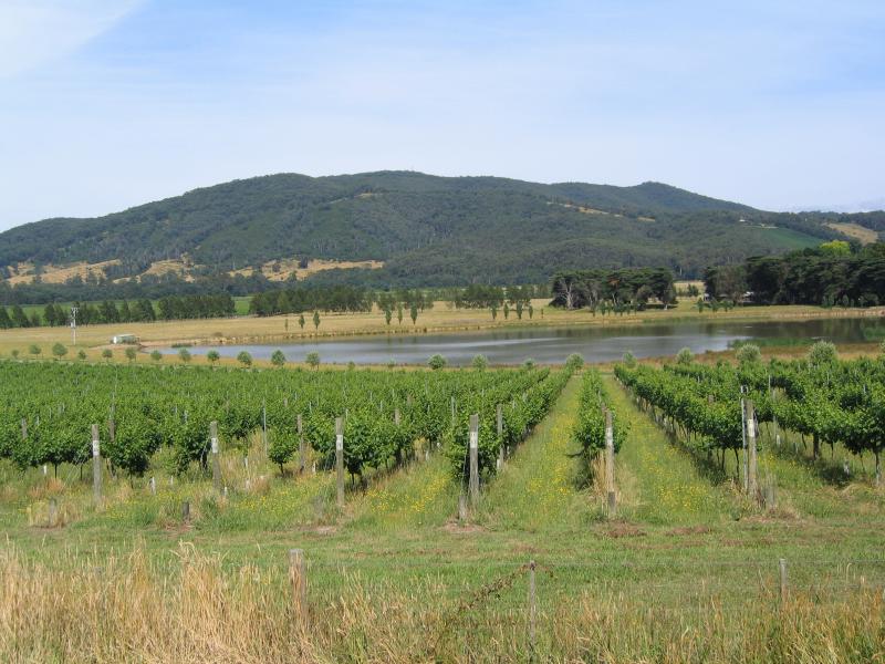 Healesville - Healesville-Koo Wee Rup Road: View west across Rochford Wines vineyard towards lake