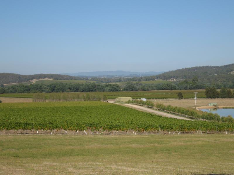 Healesville - Healesville-Koo Wee Rup Road: View south-west across Rochford Wines vineyard