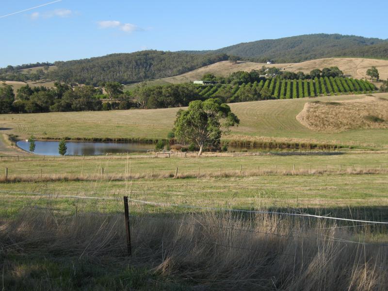 Healesville - Healesville-Koo Wee Rup Road: View east near Syme Rd