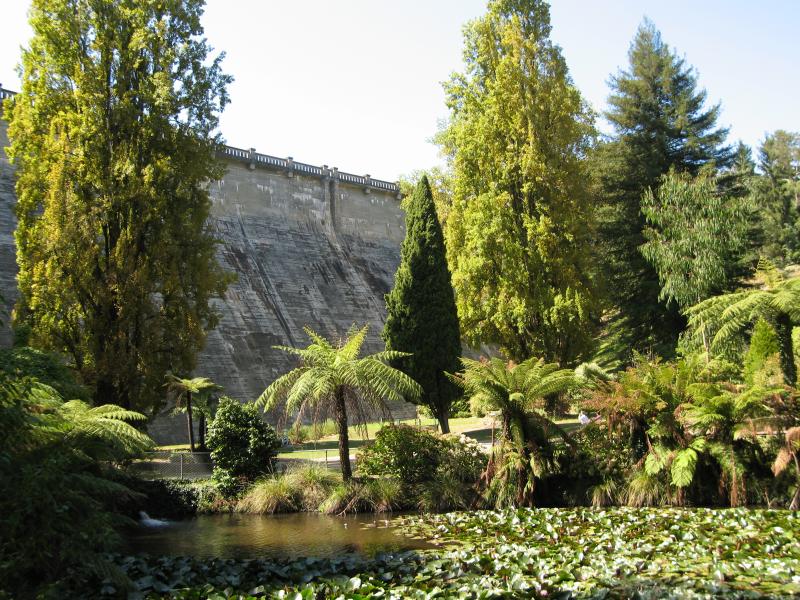 Healesville - Maroondah Reservoir: Pond near dam wall