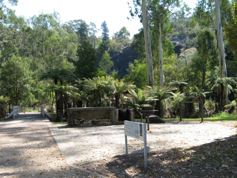 Healesville - Maroondah Reservoir: Ferns near base of rose stairway