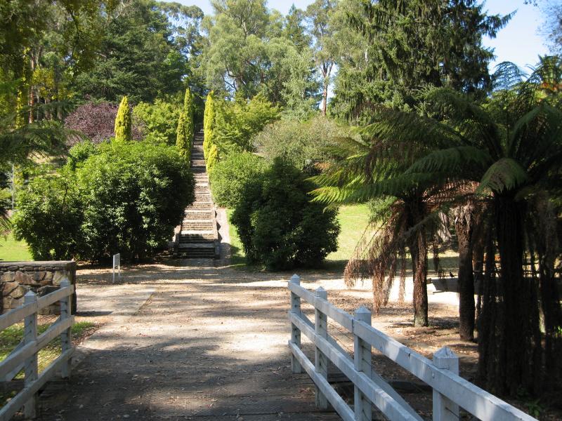 Healesville - Maroondah Reservoir: View from ferns towards rose stairway