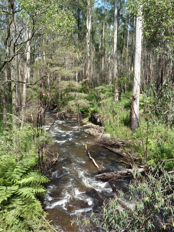 Healesville - Watts River, Maroondah Highway north-east of Healesville: View south-west along Watts River from bridge