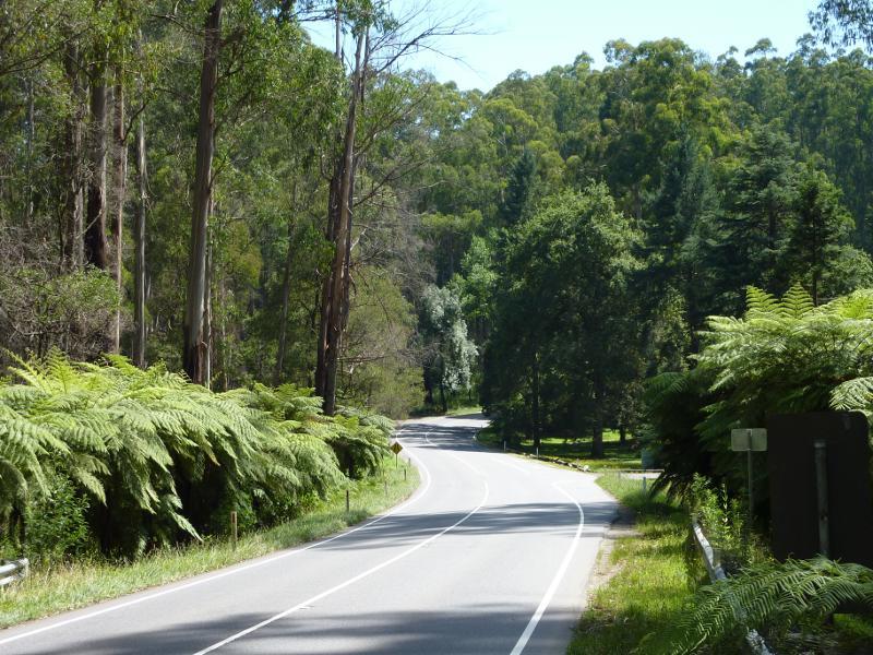 Healesville - Fernshaw Picnic Ground, Maroondah Highway north-east of Healesville: View north along Maroondah Hwy towards entrance to picnic ground