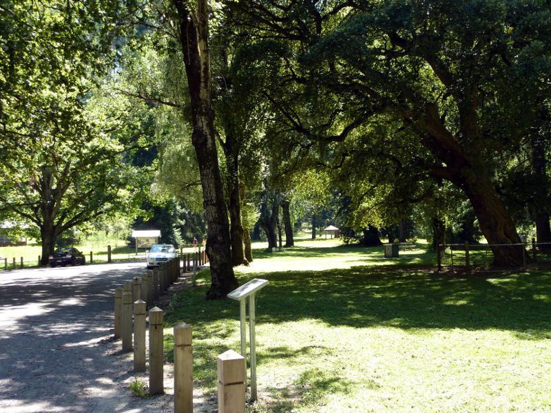 Healesville - Fernshaw Picnic Ground, Maroondah Highway north-east of Healesville: View through picnic ground near entrance