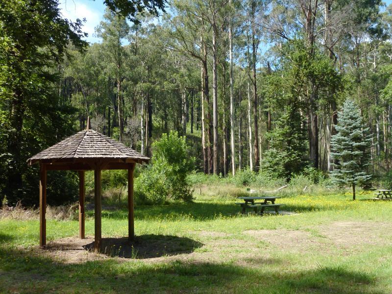 Healesville - Fernshaw Picnic Ground, Maroondah Highway north-east of Healesville: Rotunda and picnic area