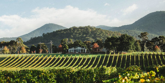 Boat O'Craigo, Healesville