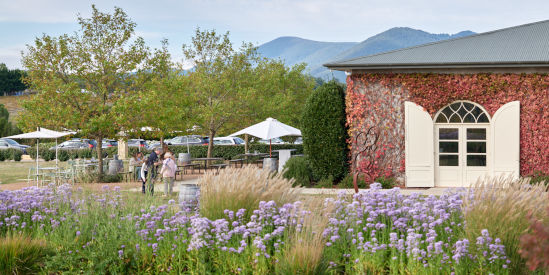 Dominique Portet, Coldstream