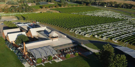 Rochford Wines, Coldstream