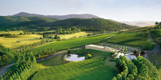 TarraWarra Estate, Healesville