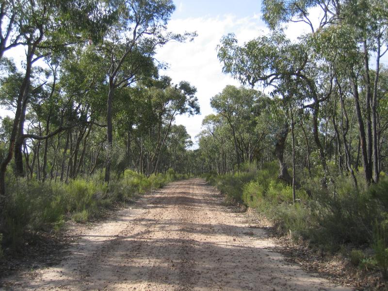 Heathcote - Viewing Rock, McIvor Range Reserve, Range Drive: View along Range Dr