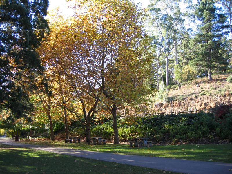 Hepburn Springs - Mineral Springs Reserve: Gardens between Spa Resort and Pavilion Cafe
