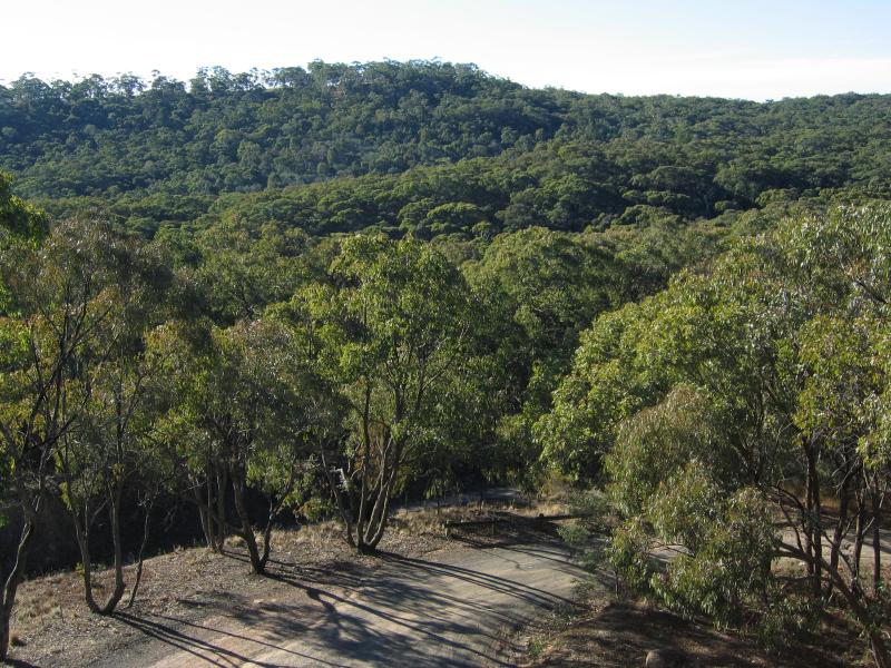 Hepburn Springs - Jacksons Lookout, Back Hepburn Road: View from tower