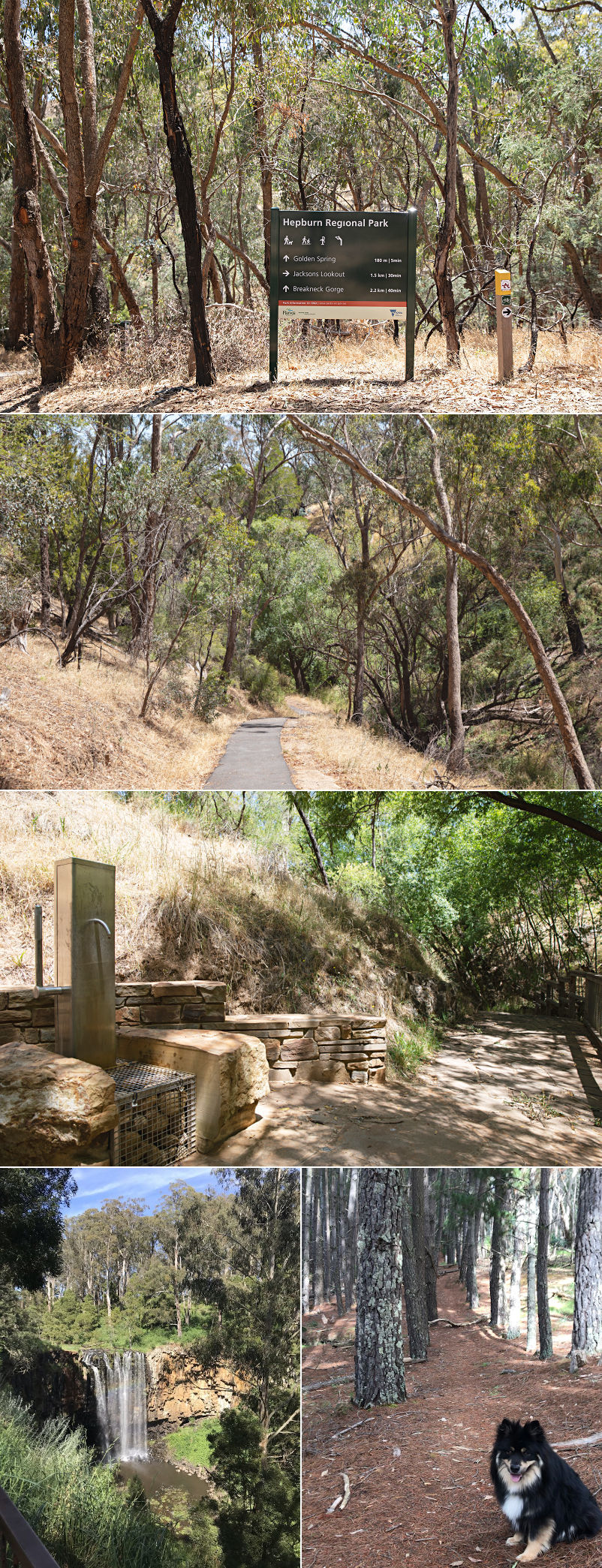 Spring Creek Cottage - Walking trails and mineral springs