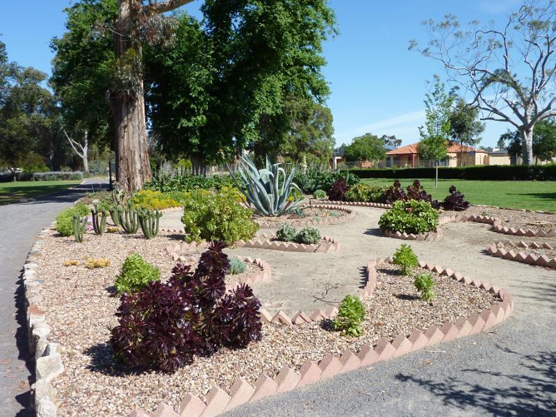 Horsham - Horsham Botanic Gardens: Cacti and succulents