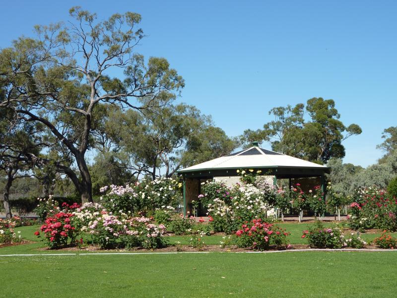 Horsham - Horsham Botanic Gardens: Rose garden