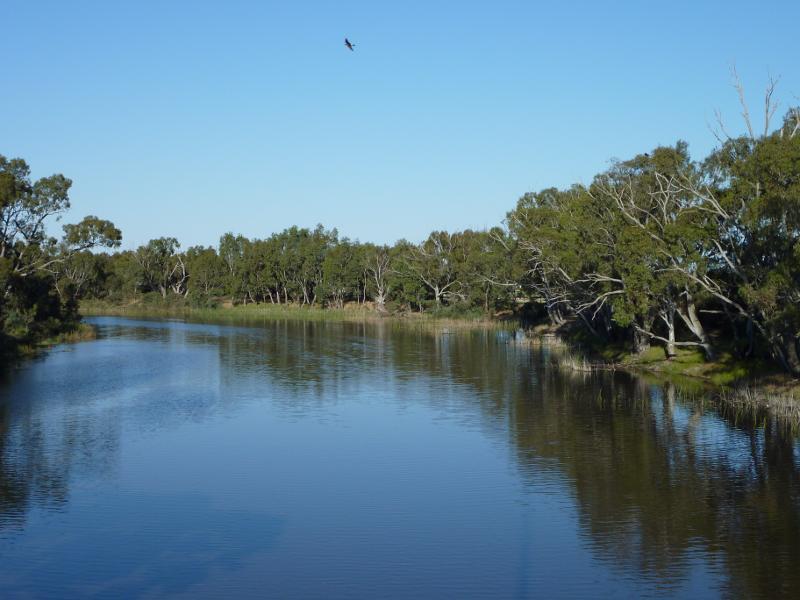 Horsham - Wimmera River viewed from bridge at Stawell Road: View east along river