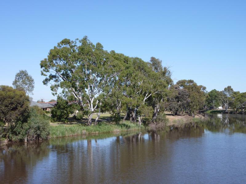 Horsham - Wimmera River viewed from bridge at Stawell Road: View west along southern bank of river