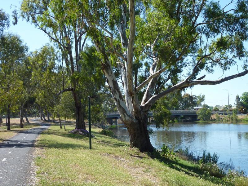 Horsham - Northern bank of Wimmera River between Stawell Road and Firebrace Street: View east along river towards bridge at Stawell Rd
