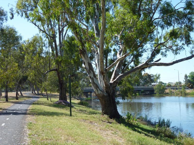 Horsham - Northern bank of Wimmera River between Stawell Road and Firebrace Street - View east along river towards bridge at Stawell Rd