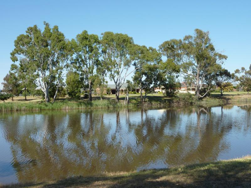 Horsham - Northern bank of Wimmera River between Stawell Road and Firebrace Street: View south across river
