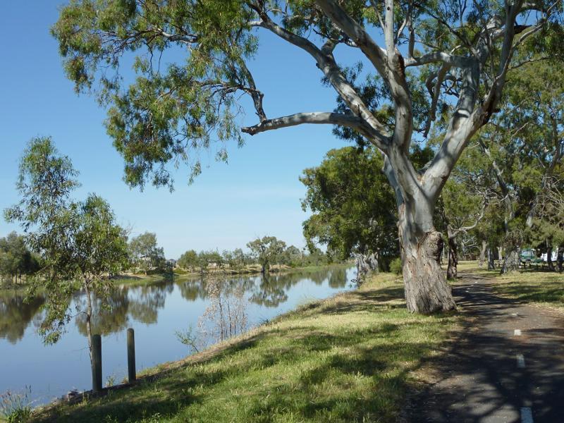 Horsham - Wimmera River at southern end of Firebrace Street: View west along river