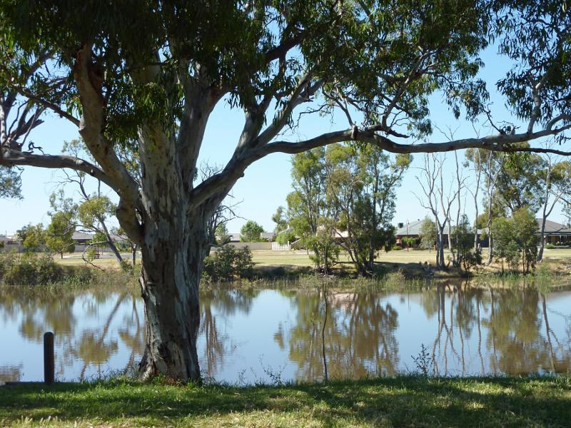 Horsham - Wimmera River at southern end of Firebrace Street: View south across river