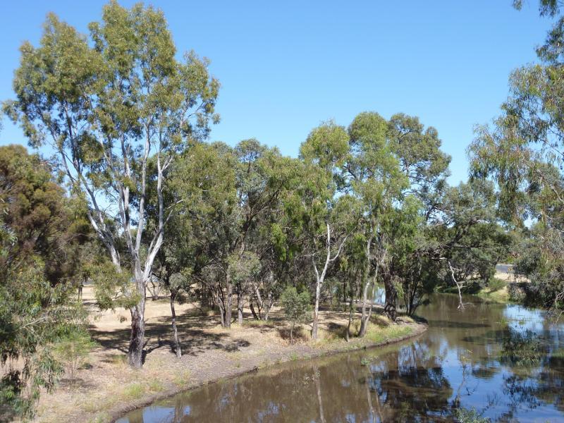Horsham - Wimmera River at Apex Island: View west along river from footbridge