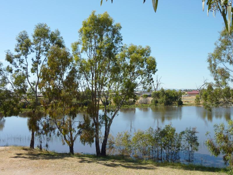 Horsham - Wimmera River at Apex Island: Southerly view over river from island