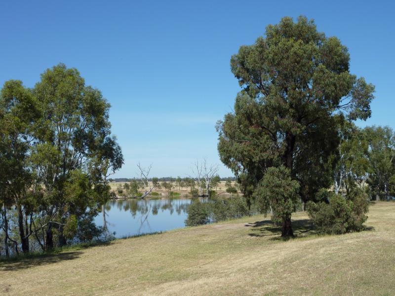 Horsham - Wimmera River at Apex Island: South-westerly view over river from island