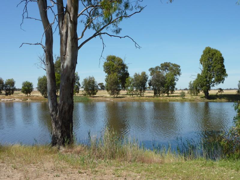 Horsham - Wimmera River at Boat Haven and River Park, Barnes Boulevard: View south across river at River Park