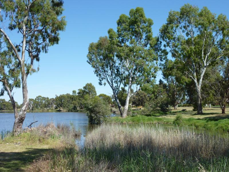 Horsham - Wimmera River at Boat Haven and River Park, Barnes Boulevard: View west along river at River Park