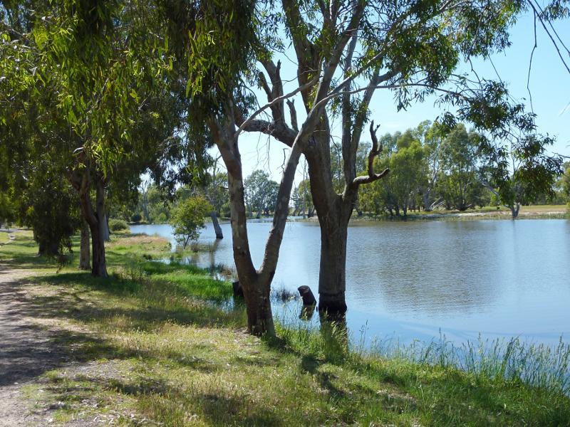 Horsham - Wimmera River at boat ramp at southern end of Drummond Street: View east along river