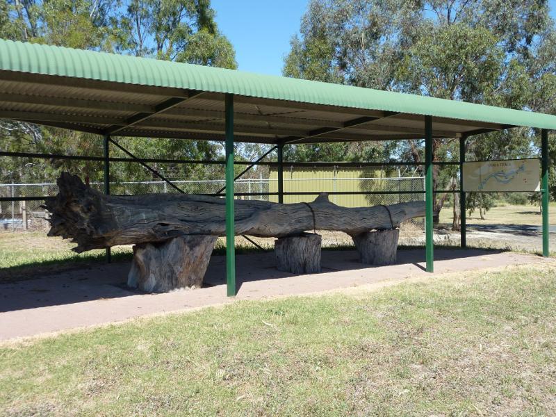 Horsham - Wimmera River at Weir Park, east side of weir: Information shelter with tree trunk display