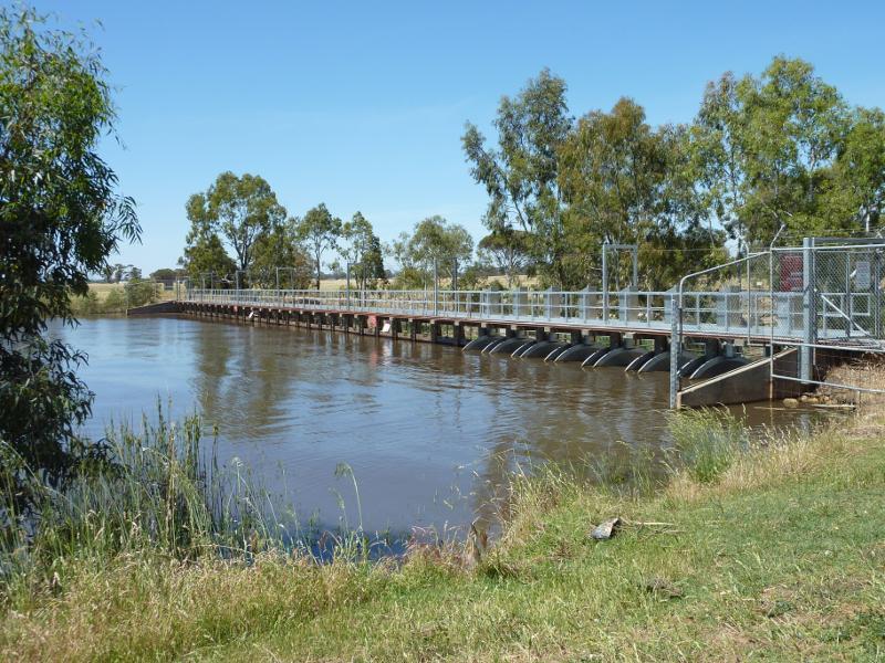 Horsham - Wimmera River at Weir Park, east side of weir: View south along weir