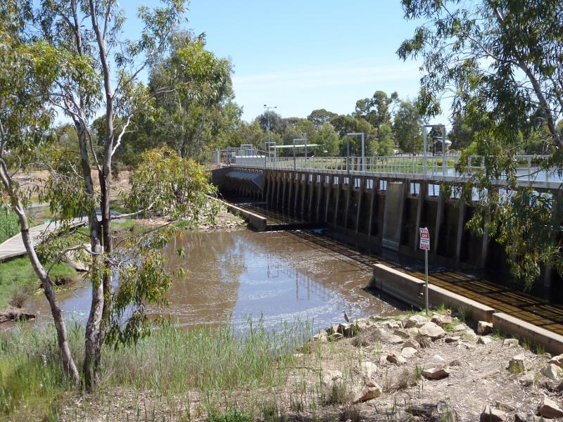 Horsham - Wimmera River on west wide of weir and at wetlands: View north across river at weir