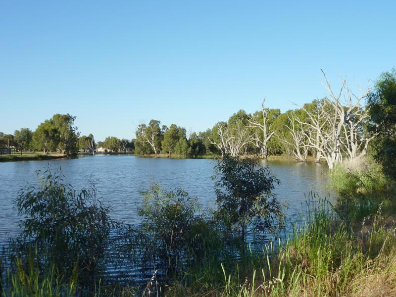 Horsham - Wimmera River on west wide of weir and at wetlands: View east along river at southern end of weir