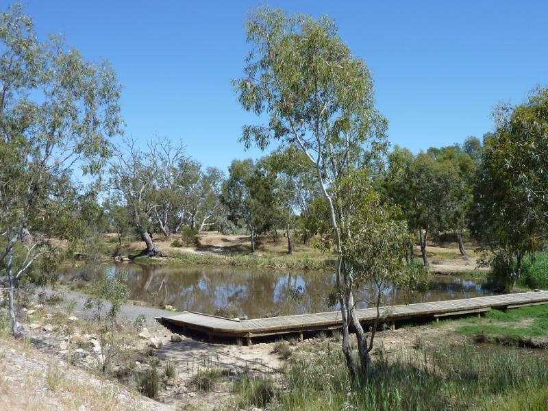 Horsham - Wimmera River on west wide of weir and at wetlands: View west along river at wetlands