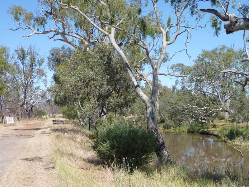 Horsham - Wimmera River on west wide of weir and at wetlands: View west along pathway on south side of river, west of weir