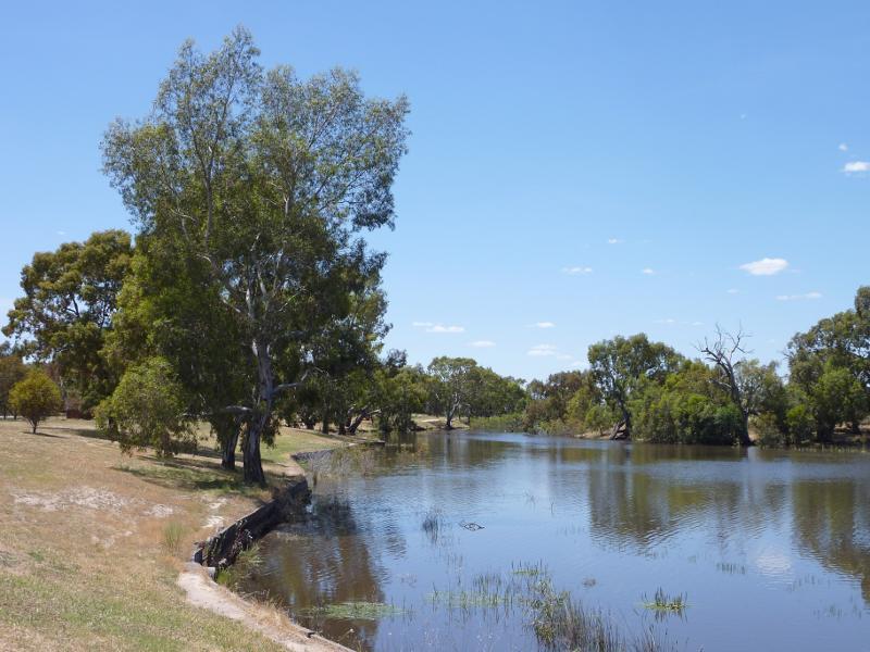 Horsham - Wimmera River along Menadue Street: View north-east along river