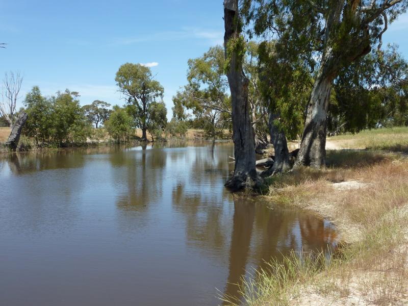Horsham - Wimmera River at native grass reserve, east end of Baillie Street: View south along river